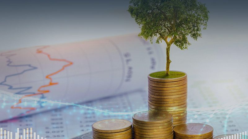 上海商业计划书可行性报告报价