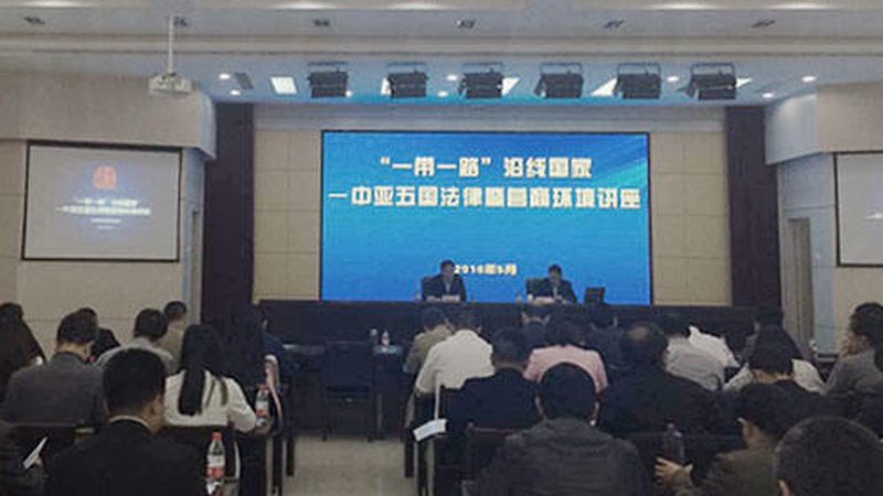 合伙人股权分配比例：如何平衡利益与风险**